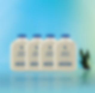 Квартет Свобода